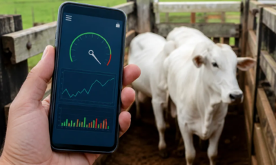 Balança de Gado no Celular: Apps e Como Usar